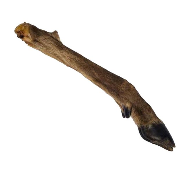 Hovedbilde Rådyrben med pels