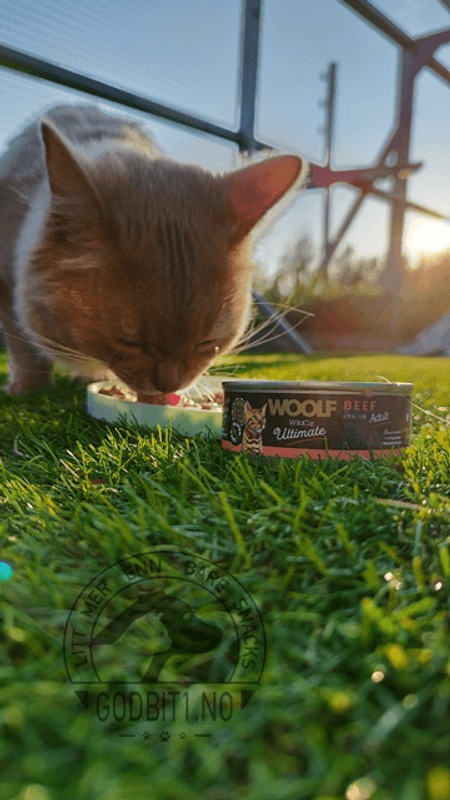 Woolf Wildcat Beef Pate 85g
