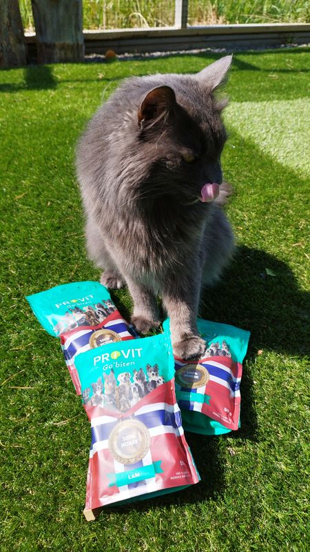 Provit Frysetørket Sei Katt 30g