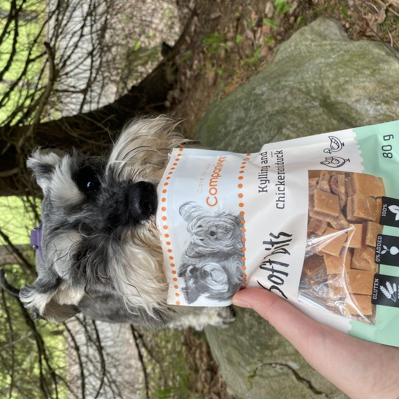 Companion Soft Bits Kylling og and 80g